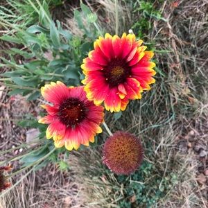 Meet your Posher, Lorita